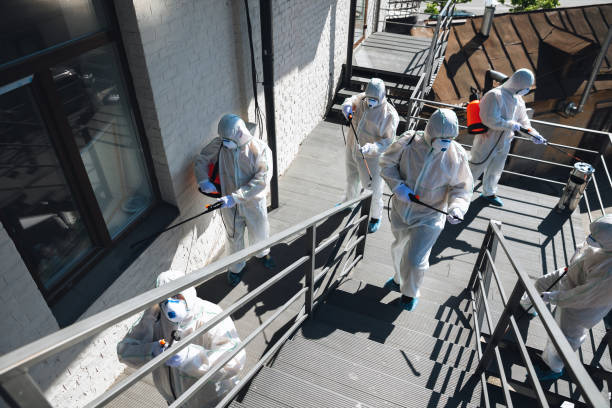 Best Mold Removal for HVAC Installations  in La Grande, OR