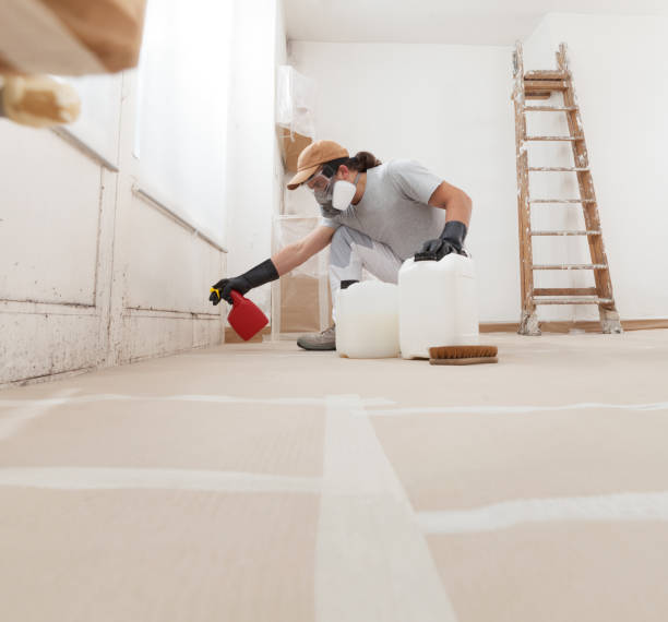  La Grande, OR Mold Removal Pros